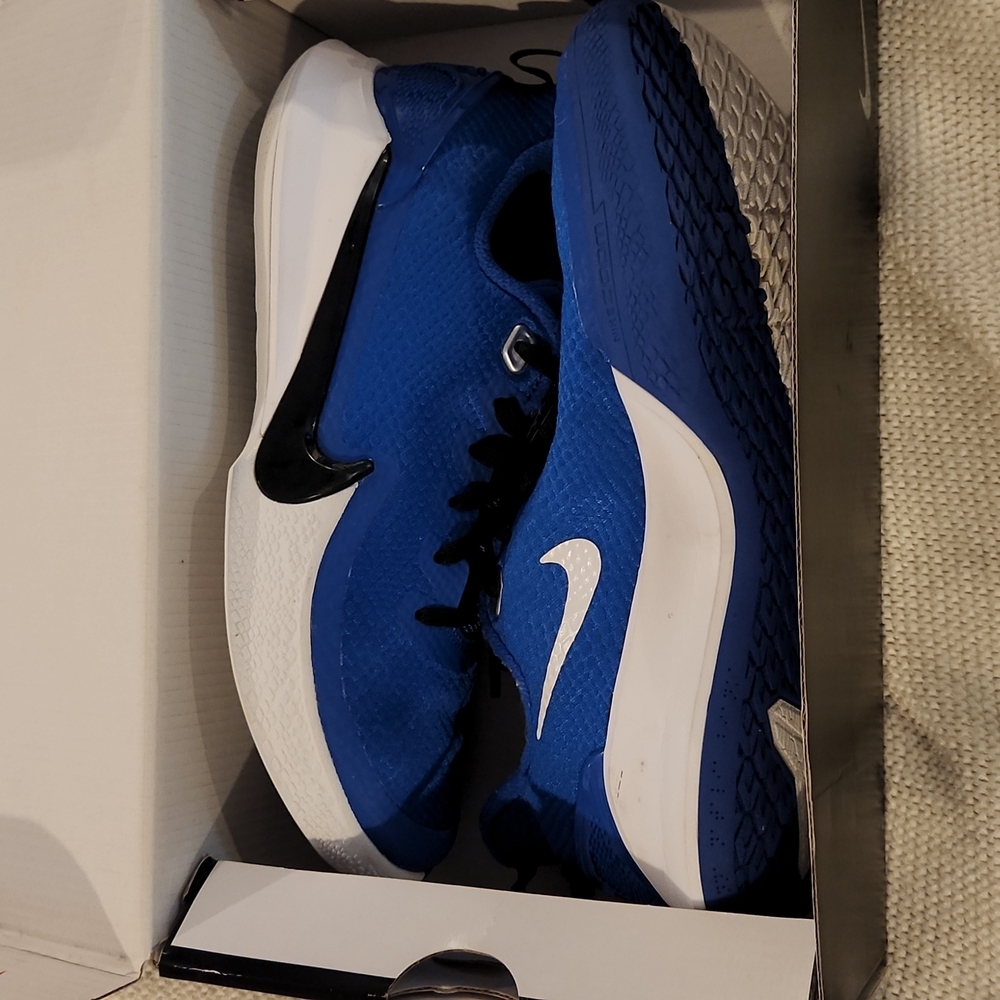 Nike MAMBA FOCUS TB